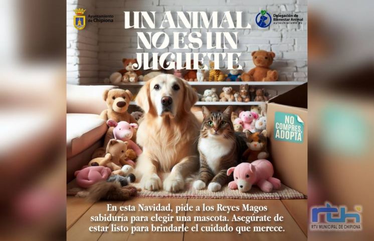 Ayuntamiento y protectoras de animales lanzan una campaña en Chipiona para hacer ver que un animal no es un juguete