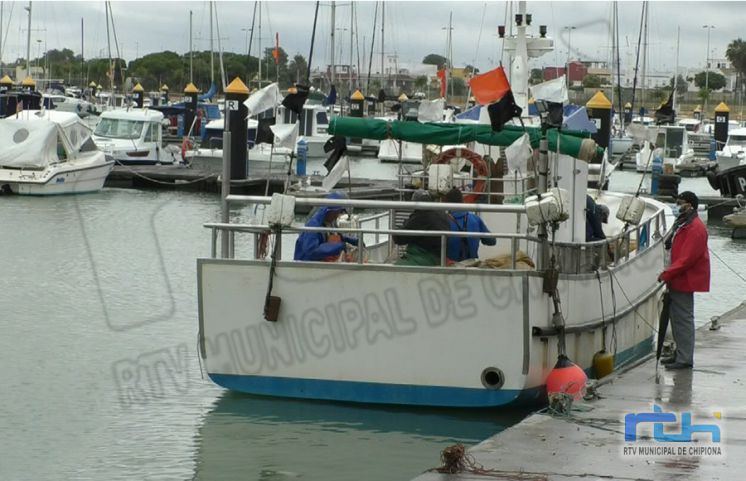 El Consejo Local de Pesca trató el problema del alga invasora, las ordenanzas de Playas y las obras en Puerto Chipiona