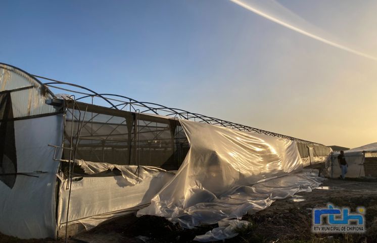 La Junta indemnizará a los floricultores de Chipiona y otras poblaciones afectados por la tormenta Bernard