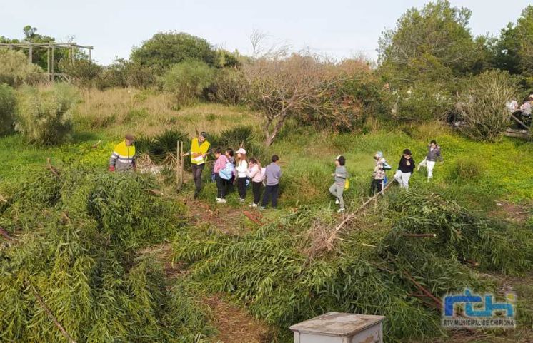 Medio Ambiente comienza un programa de plantación de especies vegetales en el que participa el alumnado del colegio Los Argonautas