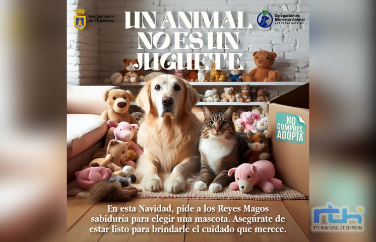 Ayuntamiento y protectoras de animales lanzan una campaña en  Chipiona para hacer ver que un animal no es un juguete