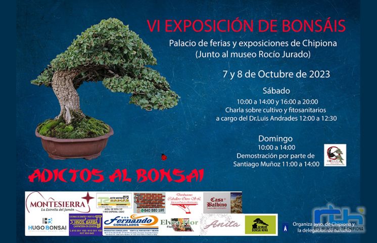 Este fin de semana se presenta la sexta muestra &#039;Adictos al bonsái&#039; en Chipiona en la que se exponen cerca de 70 árboles