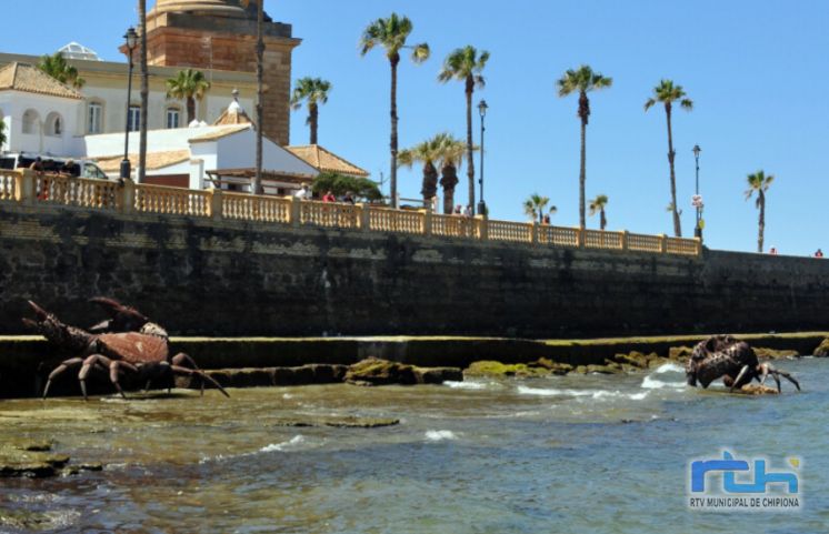 El conjunto escultórico ‘Cangrejos en el litoral gaditano’ de Alfredo Zarazaga se inaugura oficialmente mañana en la plaza de las Américas