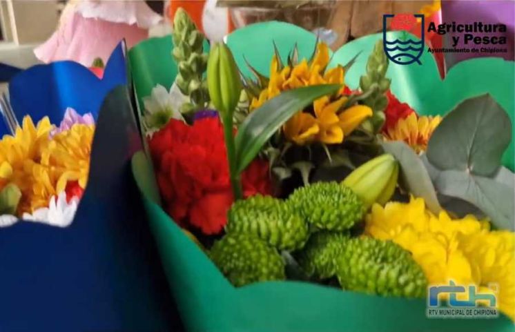 Agricultura vuelve a lanzar un vídeo para fomentar el consumo de flores de Chipiona por el Día de los Enamorados