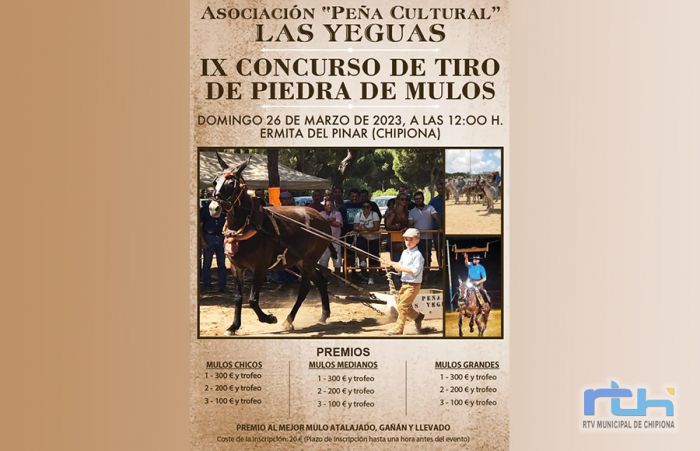 Este domingo retorna el concurso de tiro de piedra de mulos organizado por la Peña ‘Las Yeguas’