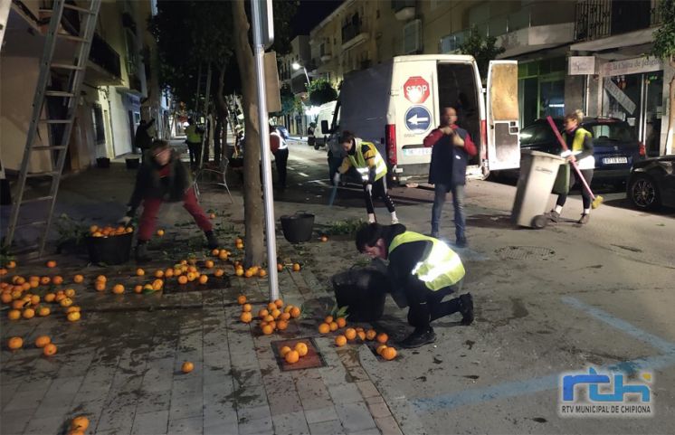 Comienza la retirada de naranjas de los árboles situados en las vías públicas de Chipiona