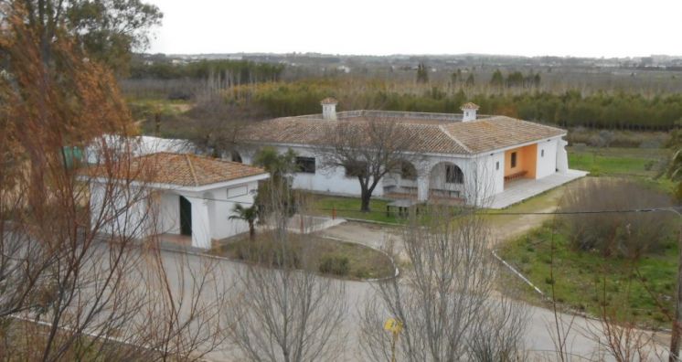 El colegio Príncipe Felipe participará en el programa de Educación Ambiental en la Casa de los Colores de la Diputación