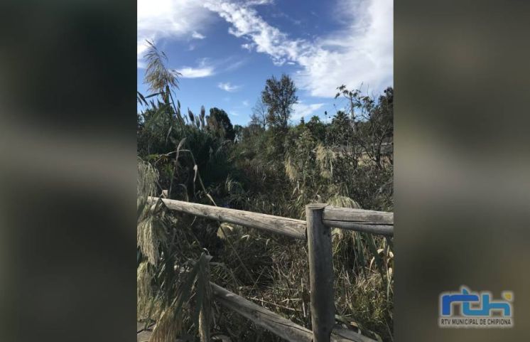 El CANS reclama que se limpie el canal de Chapitel para que no haya inundaciones