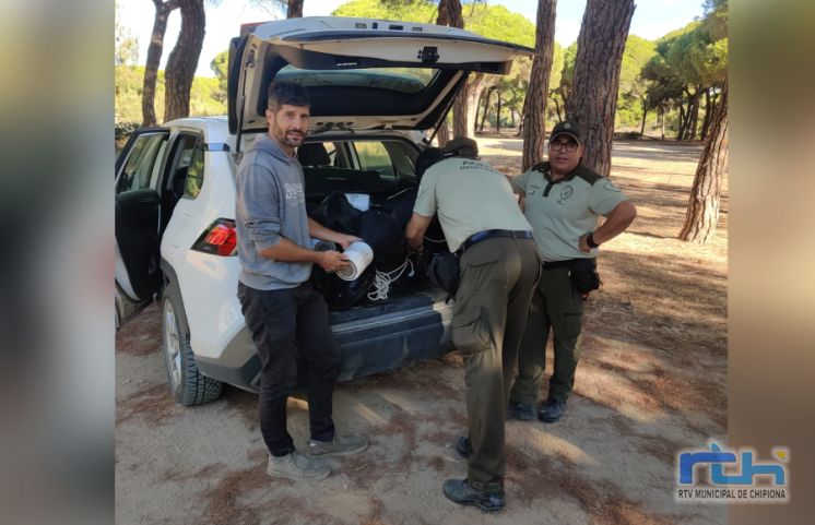 Medio Ambiente y la Delegación Territorial de Desarrollo Sostenible instalan trampas feromonas y kairomonas contra la plaga Escolítido Tomicus