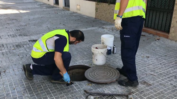 El Ayuntamiento de Chipiona efectúa hoy dos nuevas fases de la  segunda campaña anual de desinsectación y desratización