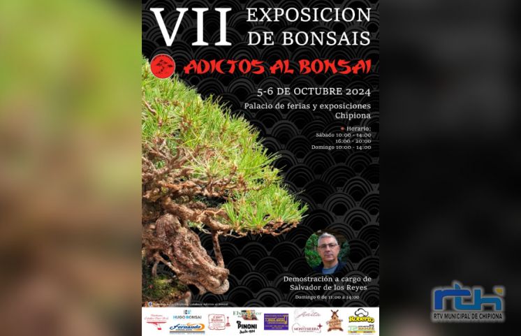 Anuncian la celebración en Chipiona de la séptima muestra ‘Adictos al bonsái’ para los días 5 y 6 de octubre