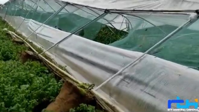 El tornado del pasado miércoles deja más de 20 hectáreas agrícolas afectadas en Chipiona