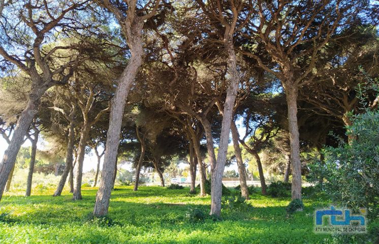 El INFOCA informa al Ayuntamiento de Chipiona de novedades respecto a la quema de residuos agrícolas y forestales