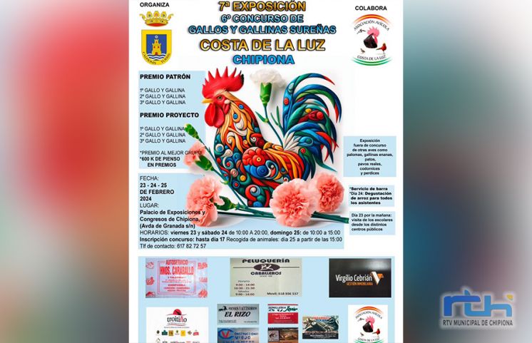 300 ejemplares inscritos para la séptima exposición y el sexto concurso de gallos y gallinas sureñas de Chipiona