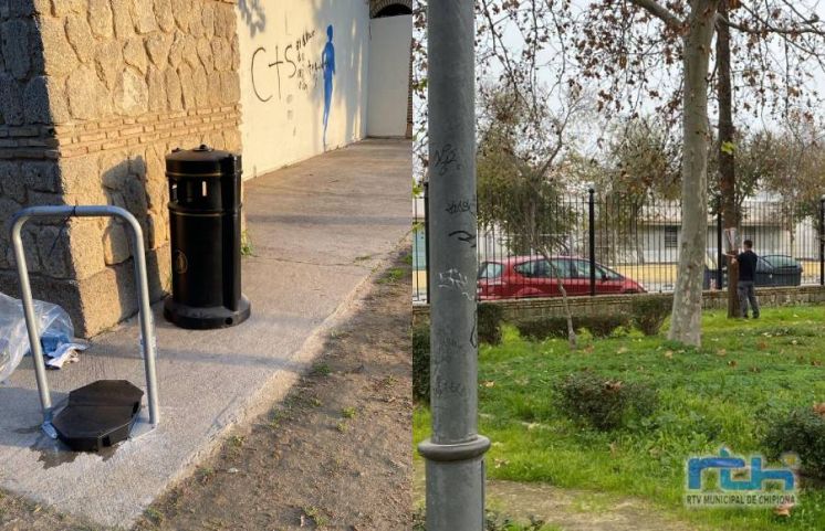 La Delegación de Sanidad coloca papeleras con control de múridos y anillos antitrepamiento para roedores y ratas en palmeras