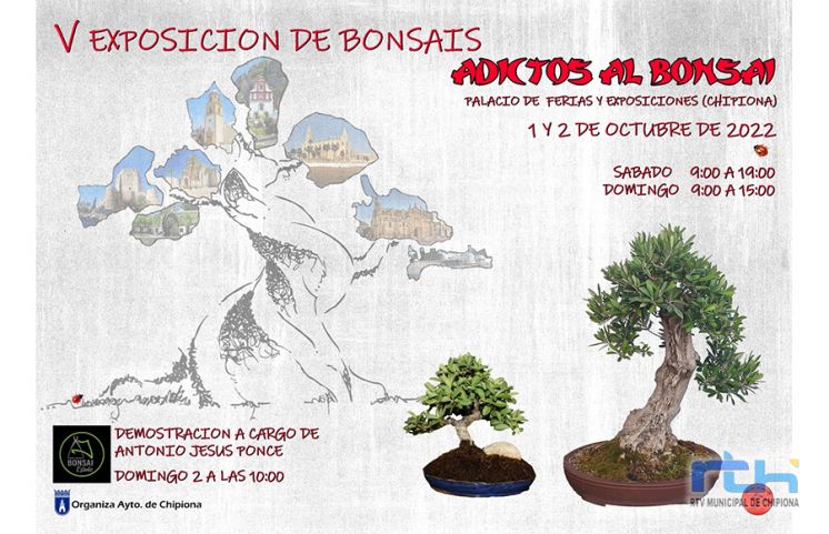 La quinta edición de la exposición ‘Adictos al bonsái’ se celebrará en Chipiona el primer fin de semana de octubre