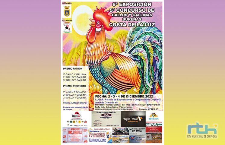 Chipiona se convierte este fin de semana en centro de atención sobre la cría de gallos y gallinas sureñas