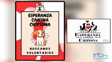 Esperanza Canina realiza un llamamiento urgente para solicitar colaboración de voluntarios